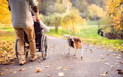 4 Accessible Autumn Activities