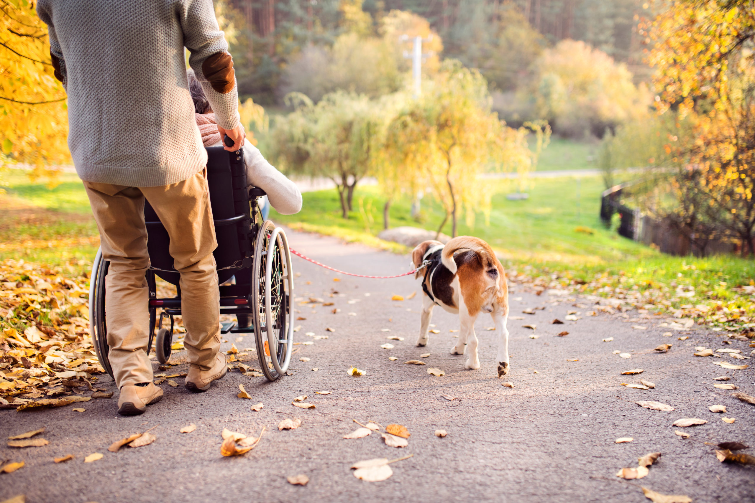 Mission Health + Home discusses accessible autumn activities to enjoy in Rochester, NY.